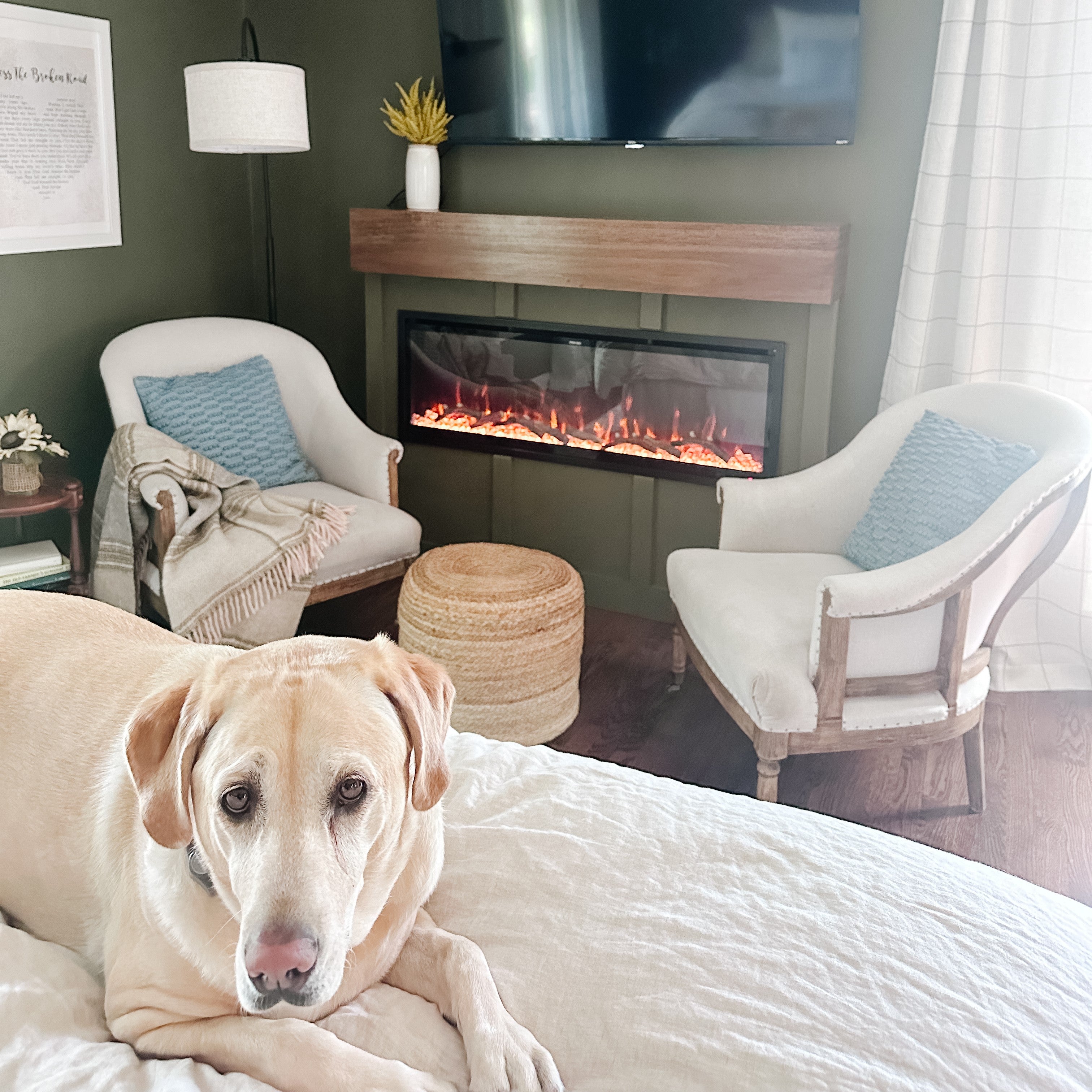 Friendly/Safety)	A small golden dog relaxing on a rug in a living room with the Aerus Slim Electric Fireplace on, highlighting its cool-to-touch glass for safety around pets.
