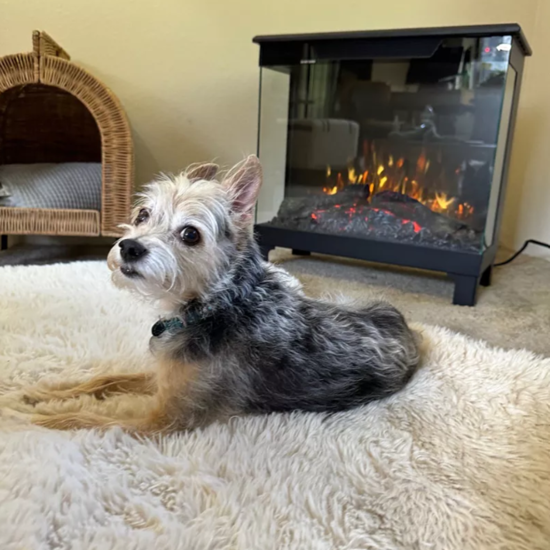 customer image of small dog relaxing on a plush rug in front of a Modern Ember electric fireplace, creating a cozy and pet-friendly living space with realistic flame and ember bed