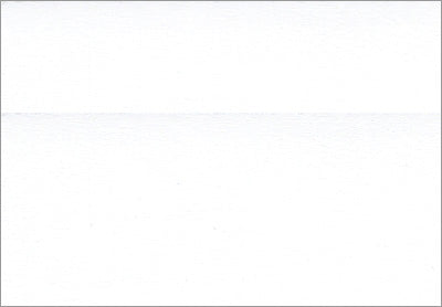 Swatch of Boone Wood Sample poplar poplar white.
