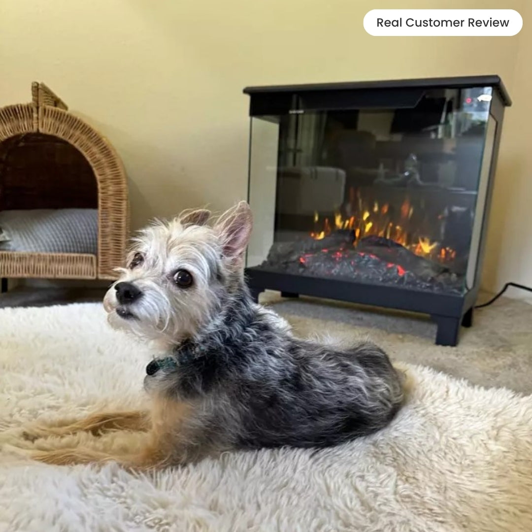 real customer image of Small dog lying in front of the Skyline 3-Sided Stove, highlighting the safe, cool-to-touch glass and comforting warmth.