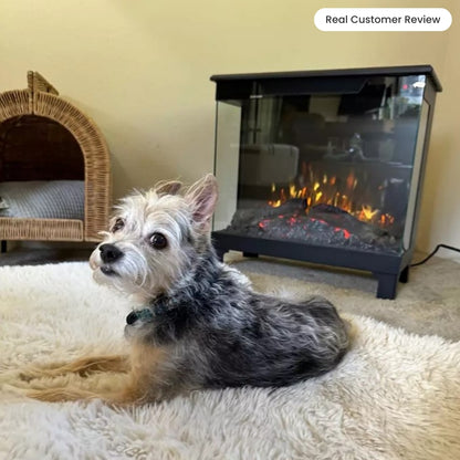 real customer image of Small dog lying in front of the Skyline 3-Sided Stove, highlighting the safe, cool-to-touch glass and comforting warmth.