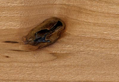 Swatch of Tipton Wood Sample alder clear. 